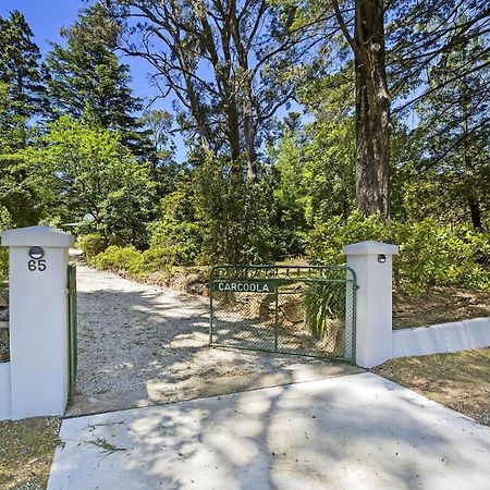 Carcoola Villa Blackheath Luaran gambar